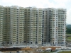 137.jpg 137.jpg