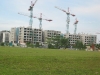 47.jpg 47.jpg