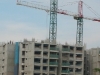 49.jpg 49.jpg